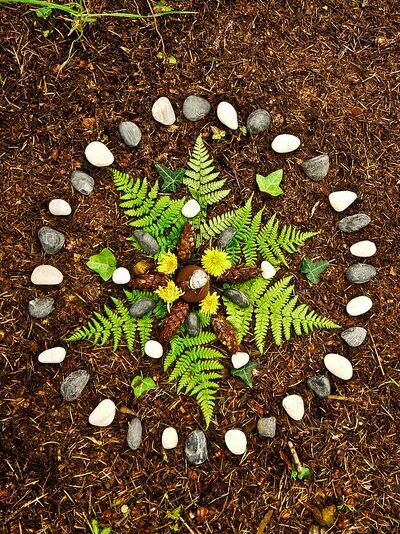 EcoAwareness