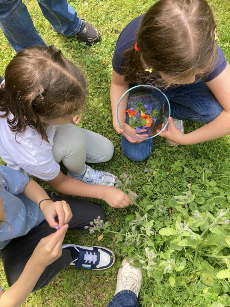EcoAwareness, Bildung für nachhaltige Entwicklung, Ferienprogramm
